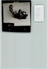 40049095 - 2990 Papenburg