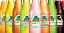 JARRITOS 12er MIXPAKET zum