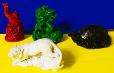 Tiger Drache Schildkröte