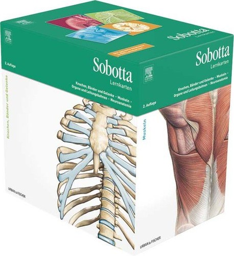 Sobotta lernkartenpaket - sobotta,