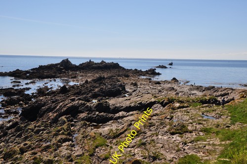 Foto south hams renney - south, hams: