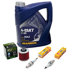 Inspektion für Yamaha TRX 850