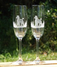 2 schöne Sektgläser mit