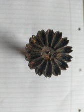 altes antikes Stanzeisen