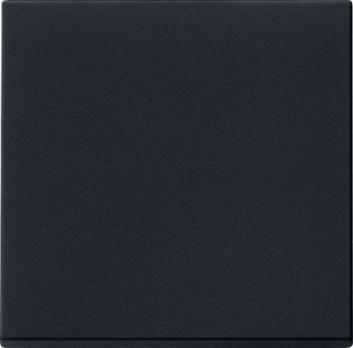 Gira wippe system55 schwarz - wippe,