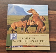 Islandpferde * Pferde der