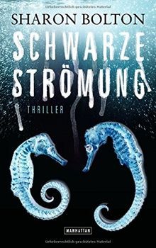 Schwarze strömung lacey - strömung,
