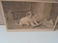 Künstler AK 3 Hundewelpen,Knocken,mauerwerk,Gließkanne,Holztür,Zaun? gel.16.1.13