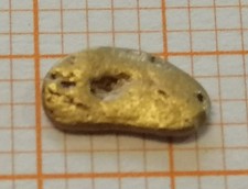 XXL Goldnugget, 6,8 mm