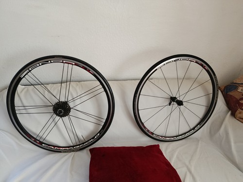 Campagnolo zonda laufräder - campagnolo,