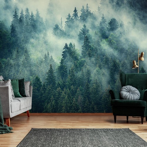 Fototapete wald nebel natur - wald, im