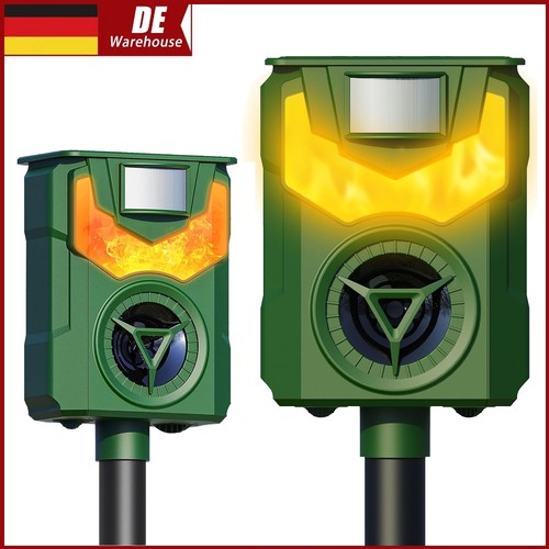 Ultraschall - 1/2x,