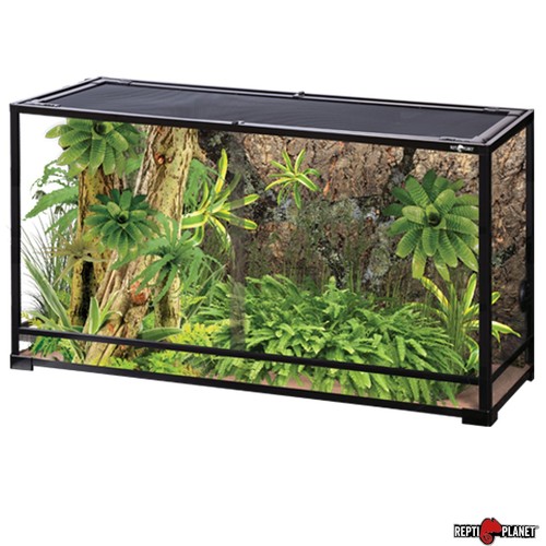 Reptiplanet terrarium - reptiplanet,