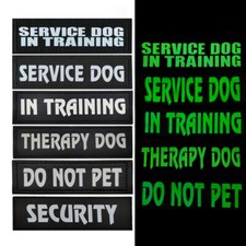 2x Leuchtende Service Dog In
