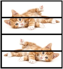 Wallario Aufkleber Möbelfolie Ikea Malm 4 Schub Süße Katze großen Augen - rot