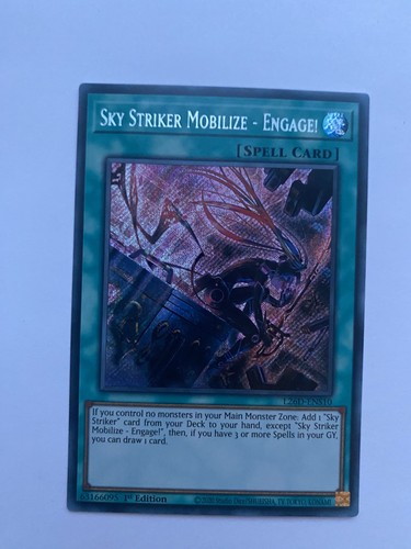L26d ens10 sky - sky, striker