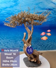 ⛩️ "ASIA MYSTIC WOOD" Aquarium Wurzel Bonsai Baum auf Schieferplatte