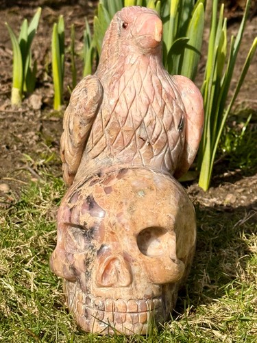 Kristallschädel falke aus - kristallschädel,