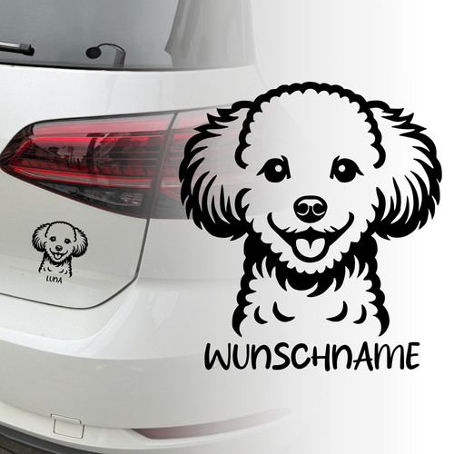 Auto aufkleber bichon frise - |,