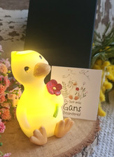 Ente Kücken Gans LED Geschenk