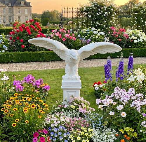 Steinadler 133 cm - 🔶,