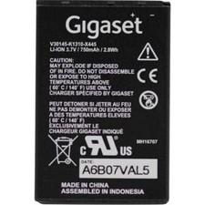 Gigaset Pro V30145-K1310-X445