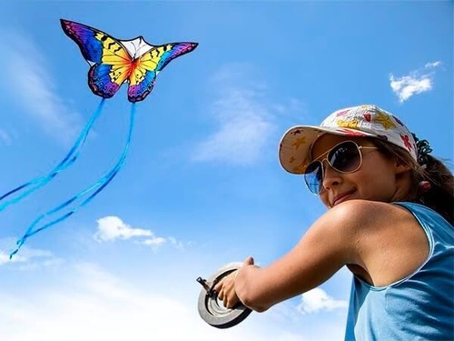 Butterfly kite 28 - butterfly,