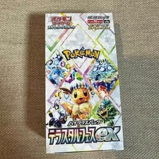 Pokemon Pokémon TCG Terastal