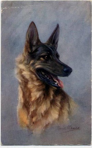 Schäferhund raphael tuck - schäferhund,raphael, &