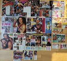 Wrestling WWF Poster Artikel