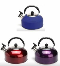 Edelstahl Flötenkessel