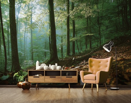 Fototapete wald natur grün - wald,