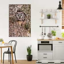 banjado Glas Bild als Wandbild