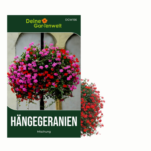 Hängegeranien mischung samen - mischung,