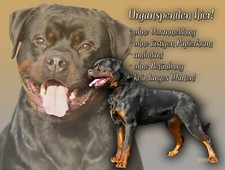 ROTTWEILER Metallschild SCHILD