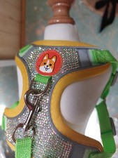 Geschirr + Leine mit