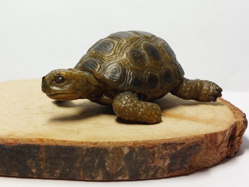 Schleich schildkröte 14404 - schleich,