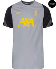NIKE FC Liverpool LFC Strike