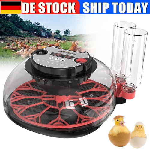 Brutmaschine vollautomatisch - brutmaschine,