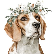 2x Sticker Beagle Car Sticker