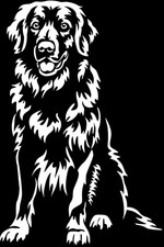 HOVAWART Aufkleber - Hovawart