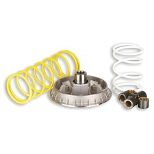 Variomatik Vario Malossi