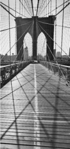 Silberman across brooklyn - silberman,