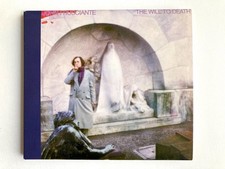 John Frusciante. The Will To