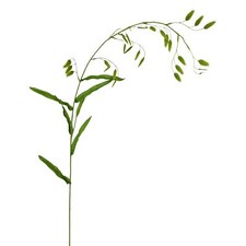 Künstliches Gras mit Ähren