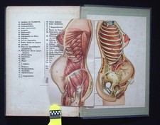 Das heilige Wunder des