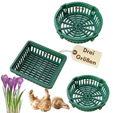 Pflanzkörbe blumenzwiebeln - pflanzkörbe,