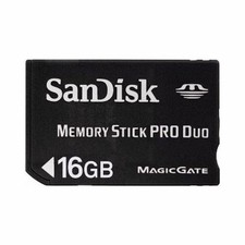 16 GB SanDisK Memory Stick Pro