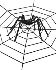 Halloween Spinnen 50cm