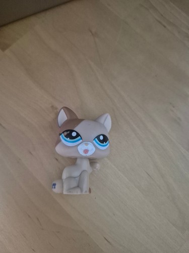 Littlest pet shop shorthair - littlest,